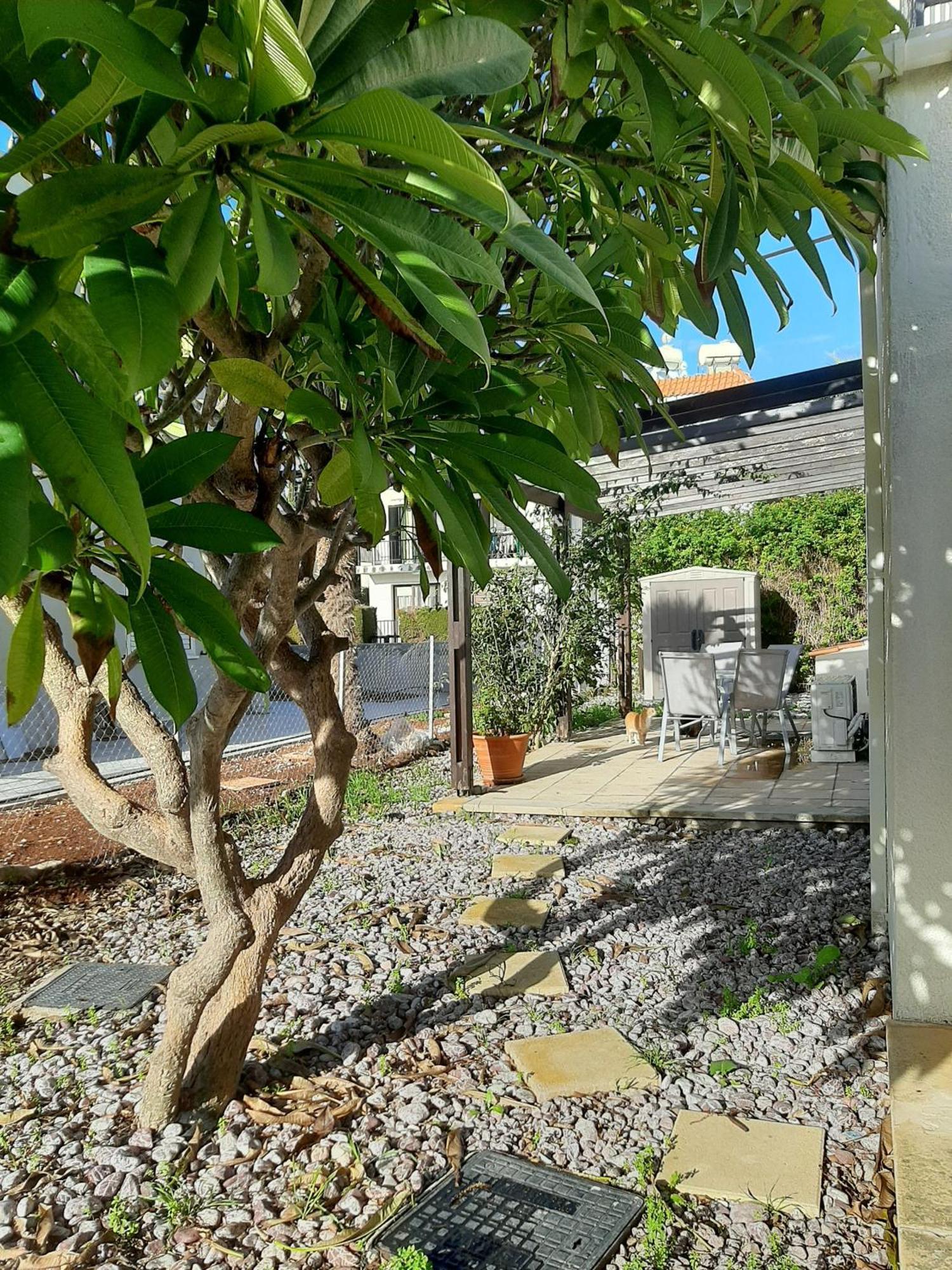 H&O Royal Townhouse In Center Paphos Appartement Buitenkant foto